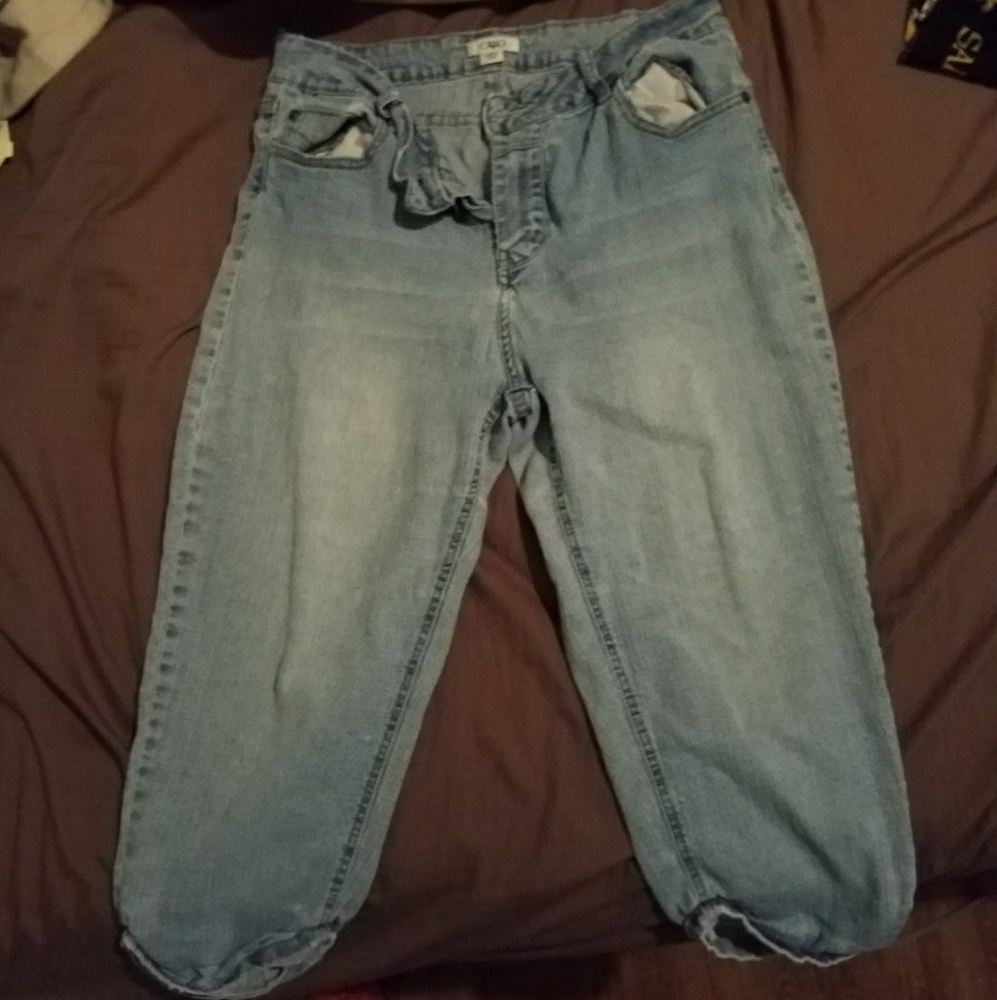 Cato capris